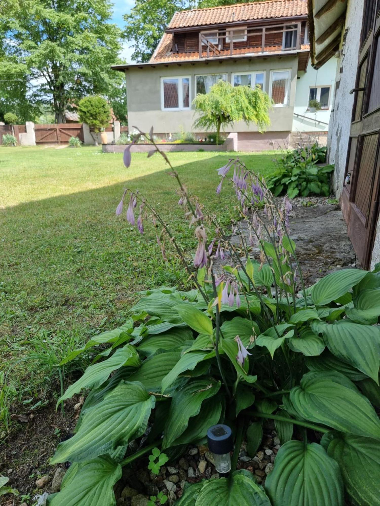 Agroturystyka Nienasycenie Brzezno Lynskie Esterno foto